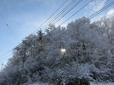 CIMG1033_20121212102654.jpg