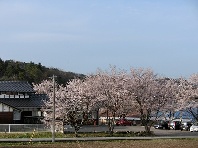 CIMG1356.jpg