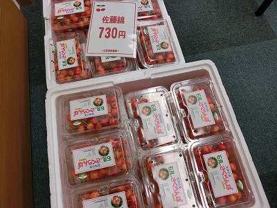 CIMG1716_20130610144905.jpg